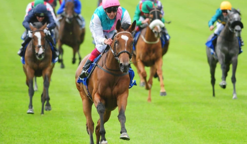 Choosing the Right Arc de Triomphe Tickets Creates a Memorable Horse Racing Experience for UK Visitors